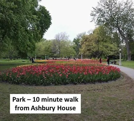 Ashbury House Bed & Breakfast-2